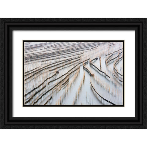 Harvesting Kelp Black Ornate Wood Framed Art Print with Double Matting by Zhou, Xinhua