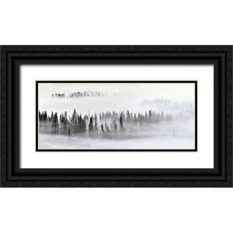 Foggy Forest Black Ornate Wood Framed Art Print with Double Matting by Xu, Mei