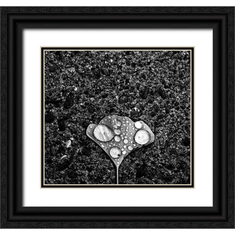 Dew Black Ornate Wood Framed Art Print with Double Matting by Wang, Jian