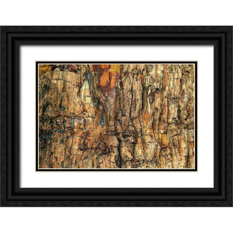 Bark Black Ornate Wood Framed Art Print with Double Matting by Kravanja, Jure
