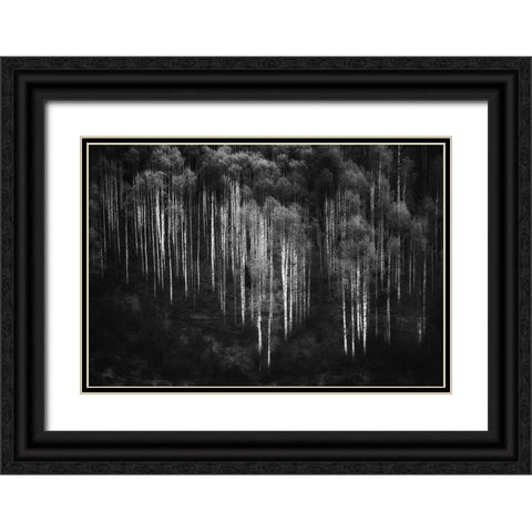 Untitled Black Ornate Wood Framed Art Print with Double Matting by Chopra, Atul