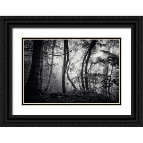 Mysterious Light Black Ornate Wood Framed Art Print with Double Matting by Maier, Norbert