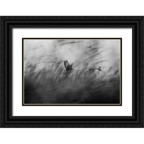 Out Of The Blue Black Ornate Wood Framed Art Print with Double Matting by Segev, Elior