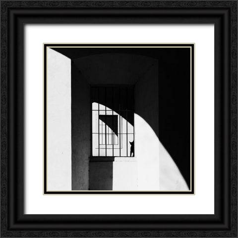 The Black Cat Black Ornate Wood Framed Art Print with Double Matting by Della Latta, Massimo