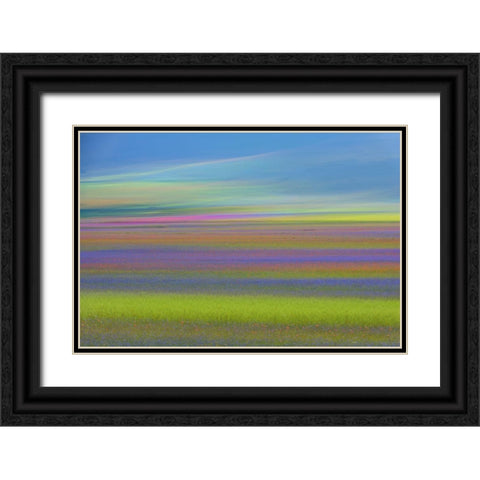 Untitled Black Ornate Wood Framed Art Print with Double Matting by Marchegiani, Roberto