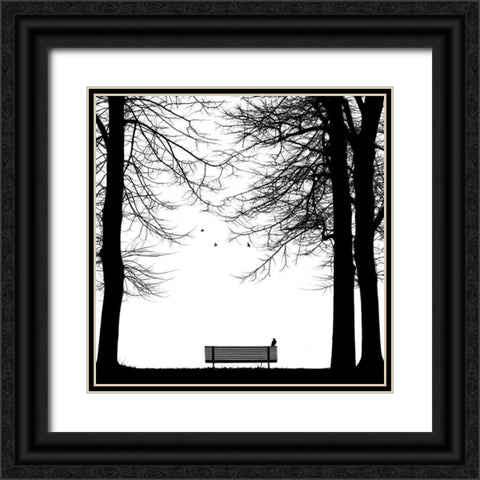 Il Corvo Black Ornate Wood Framed Art Print with Double Matting by Della Latta, Massimo