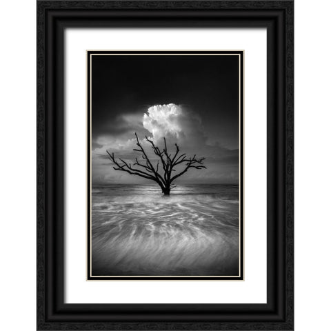 Oceanus Black Ornate Wood Framed Art Print with Double Matting by Moore, Chris