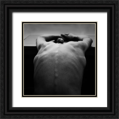 Cochlea Black Ornate Wood Framed Art Print with Double Matting by Delrue, Mirjam