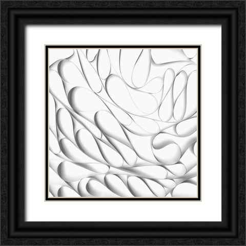 Qsq Black Ornate Wood Framed Art Print with Double Matting by Cincibus, Zbynek