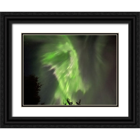 Northern Lights Iceland I Black Ornate Wood Framed Art Print with Double Matting by Bures, Josef