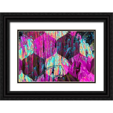 Hexaflora1 Black Ornate Wood Framed Art Print with Double Matting by Tenoever, William