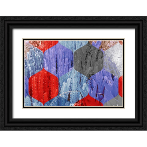 Hexaflora3 Black Ornate Wood Framed Art Print with Double Matting by Tenoever, William