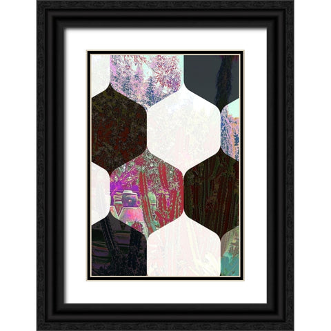Hexaflora4 Black Ornate Wood Framed Art Print with Double Matting by Tenoever, William