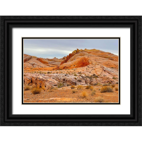 ValleyOfFire:BigHornSheep2 Black Ornate Wood Framed Art Print with Double Matting by Tenoever, William