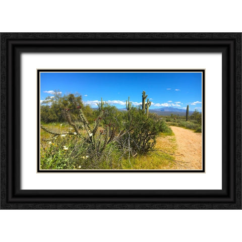 FourPeaks Black Ornate Wood Framed Art Print with Double Matting by Tenoever, William