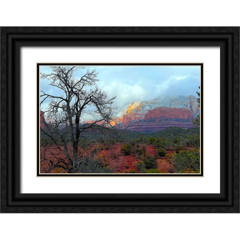 SedonaInWinter1 Black Ornate Wood Framed Art Print with Double Matting by Tenoever, William