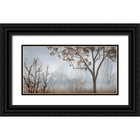 Early Morning Mist I Black Ornate Wood Framed Art Print with Double Matting by Seba, John