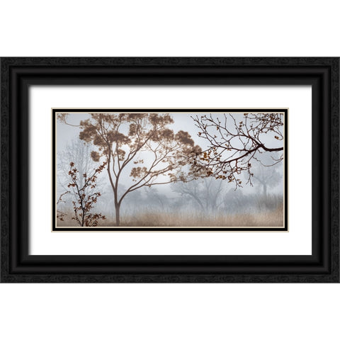 Early Morning Mist II Black Ornate Wood Framed Art Print with Double Matting by Seba, John