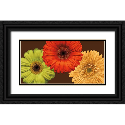 Daisy Trio Black Ornate Wood Framed Art Print with Double Matting by Blake, Lindsay