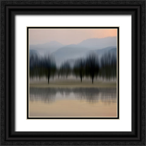 Early Morning IV Black Ornate Wood Framed Art Print with Double Matting by Clark, Madeline