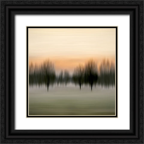 Early Morning VI Black Ornate Wood Framed Art Print with Double Matting by Clark, Madeline