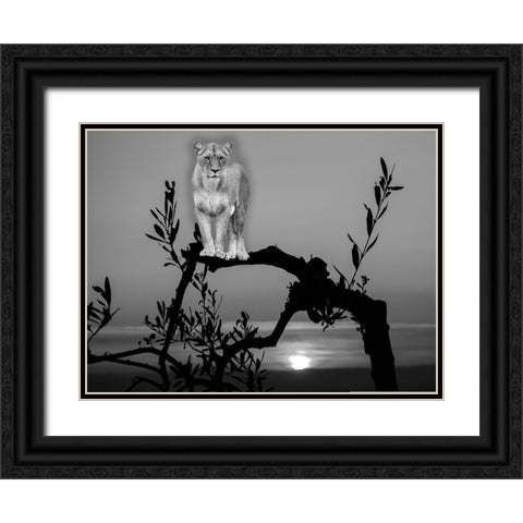 Lion In The Darkness Black Ornate Wood Framed Art Print with Double Matting by Phillip, Jamie