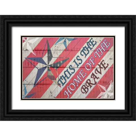 American Heart 1 Black Ornate Wood Framed Art Print with Double Matting by Phillip, Jamie