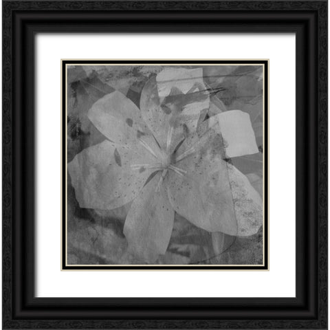 Love in The Garden 3 Black Ornate Wood Framed Art Print with Double Matting by Phillip, Jamie