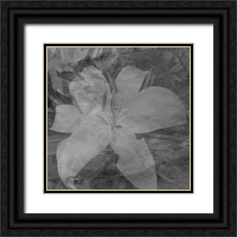 Love in The Garden 4 Black Ornate Wood Framed Art Print with Double Matting by Phillip, Jamie