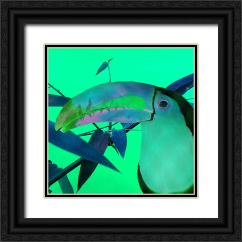 Toucan Glow Black Ornate Wood Framed Art Print with Double Matting by Phillip, Jamie
