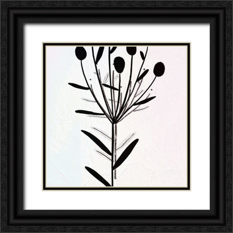 Blended Botanic Black Ornate Wood Framed Art Print with Double Matting by Phillip, Jamie