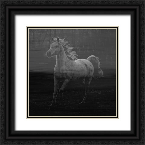Misty Horse Black Ornate Wood Framed Art Print with Double Matting by