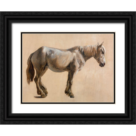 Study of a Grey Horse 1800 Black Ornate Wood Framed Art Print with Double Matting by Agasse, Jacques-Laurent