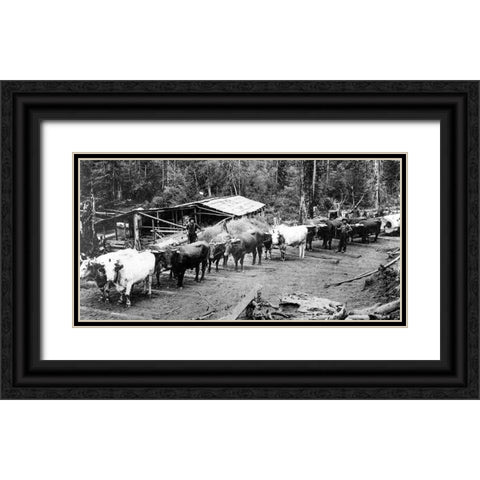 Logging with Ox Teams Black Ornate Wood Framed Art Print with Double Matting by Vintage Photography