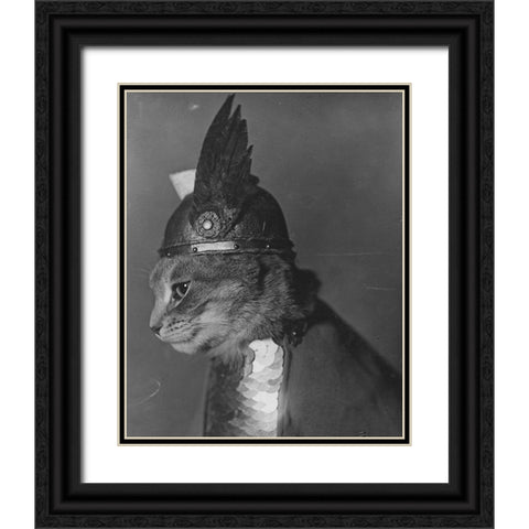 Brunnhilde the Cat Black Ornate Wood Framed Art Print with Double Matting by Vintage Photography