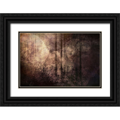 Wood between the Worlds Black Ornate Wood Framed Art Print with Double Matting by Alpenglow Workshop