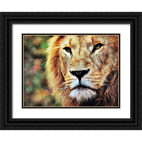 Lion Watch And Wait Black Ornate Wood Framed Art Print with Double Matting by Aldridge, Ashley