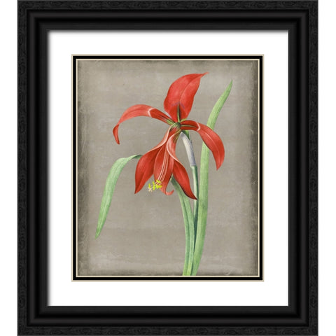 Inthered II Black Ornate Wood Framed Art Print with Double Matting by Smith, Karen