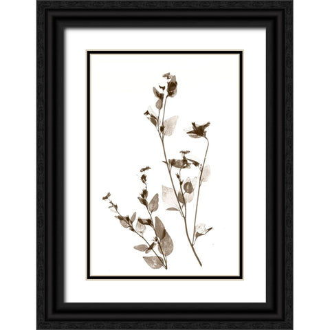 Wild Flower Black Ornate Wood Framed Art Print with Double Matting by Stalus, Judy