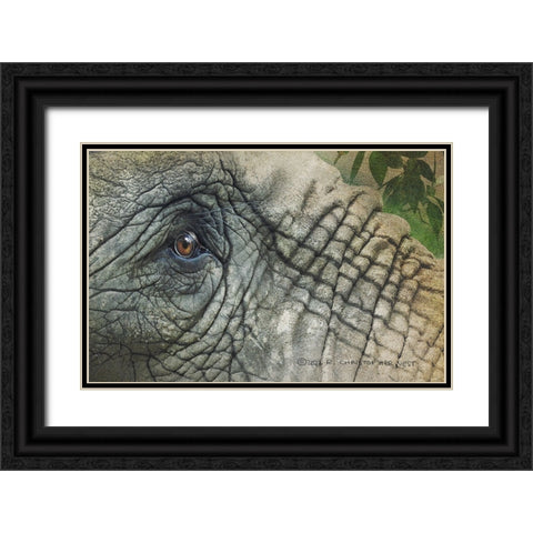 Elephant Eye Black Ornate Wood Framed Art Print with Double Matting by Vest, Christopher