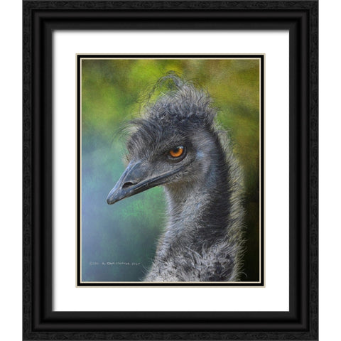 Emu Portrait, Dr. Suess Bird Black Ornate Wood Framed Art Print with Double Matting by Vest, Christopher