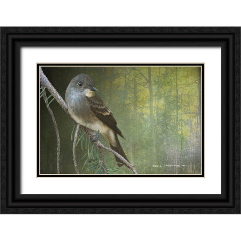 Western Wood Peewee Black Ornate Wood Framed Art Print with Double Matting by Vest, Christopher