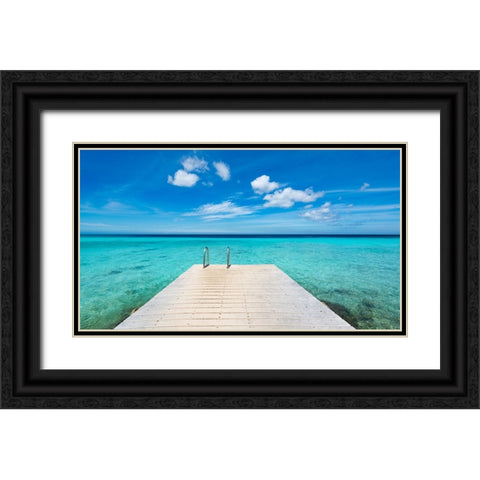 Caribbean Dream Black Ornate Wood Framed Art Print with Double Matting by Leske, Mike