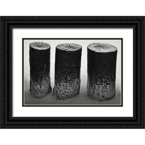 Wooden Wave Breaker Black Ornate Wood Framed Art Print with Double Matting by Ebert, Steffen