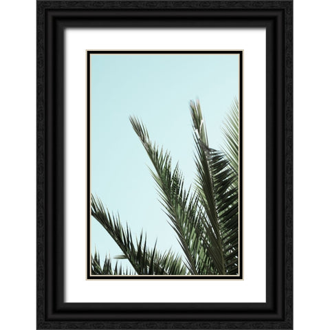 Palm leaves and sky 2 Black Ornate Wood Framed Art Print with Double Matting by Artographie Studio