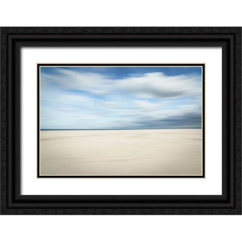 Birds at the seaside Black Ornate Wood Framed Art Print with Double Matting by Reichelt, Dieter