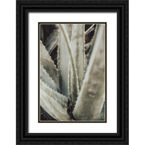 Aloe 001 Black Ornate Wood Framed Art Print with Double Matting by Artographie Studio