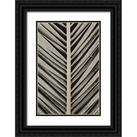 Palmblad 005 Black Ornate Wood Framed Art Print with Double Matting by Artographie Studio