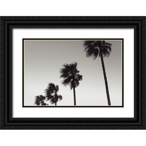 Palm 004 Black Ornate Wood Framed Art Print with Double Matting by Artographie Studio