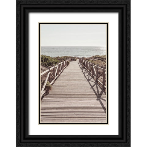 Beach 003 Black Ornate Wood Framed Art Print with Double Matting by Artographie Studio